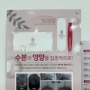 플러피비 네이버블로그