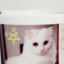 또또인쇄 이미지