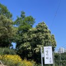 그곳카페 | 청주 양지리 카페 그곳 방문 후기 | 감성 가득한 조용한 카페추천