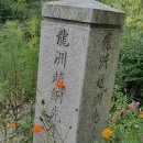 조경 선생 묘 이미지