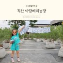 스마일농장 | 천안 블루베리 체험 5세 아이랑 직산 아람베리농장
