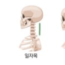 카라요가필라테스