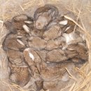 삼구농장 이미지