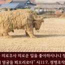 대경할인마트 이미지