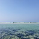 세화해변 네이버블로그
