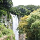 강정동-77 이미지