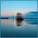 바람결에-해빙 이미지