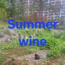 Summer Wine 이미지