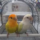 헤어샵오늘 이미지