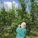 문경새재여가캠핑장 이미지