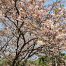 각원사길 이미지