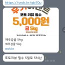 디씨디씨 DCDC 스토어 5000원 귤 이벤트 배송,연락두절 구매자분들을 찾습니다.