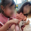 장승포초등학교 병설유치원 이미지