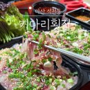 마산역 | 최근 리뉴얼된 마산역 키다리횟집 민물 향어회 포장 후기