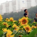 파람님 보세요... ㅇ 오투 리조트 관련 내용 ㅇ 이미지