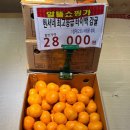 산음골 | 팜스마트 | 현서네귤 | 제주서귀포귤 | 김장철 | 겨울철과일 | 소시지요12월할인이벤트 | 음식 레시피...