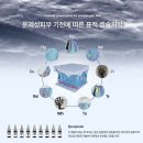 라라제이뷰티