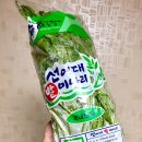 우렁찬아낙네