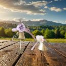 카페 다알리아 이미지