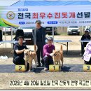 성웅 이미지