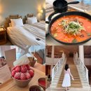 제주 신라호텔 2박 차돌박이짬뽕 쁘띠카바나 딸기빙수 스탠다드 마운틴뷰 후기 (파르나스호텔 비교)