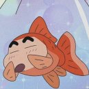 조소아과의원 | [임신일기] 16~19주차 / 첫 태동, 태교여행, 튼살, 임산부감기, 임산부생일