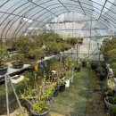 죽순농원식당 이미지