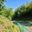 포일농장 이미지