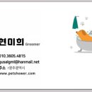The 사랑할 개 이미지