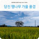 내경2리 이미지