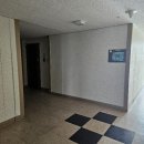 월드피아 이미지