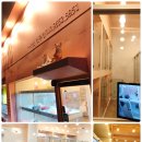 진주강아지분양 고양이분양 미유펫 이미지