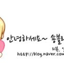 숑블리 이미지
