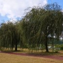 안동강남약국 이미지