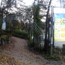 구름산산림욕장 이미지