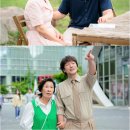 김혜자 카카오 검색결과
