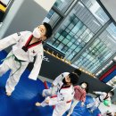 새봄태권도 이미지