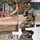 특공무술 이미지