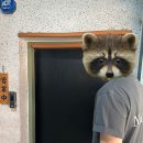 대구 수성구 맛집 | 라쿠친스시 (내돈내산 후기)