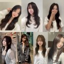 지브코리아 | 오렌지브라운염색, 여름에 가장 인기 있는 헤어 컬러 추천