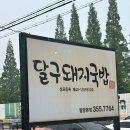 [경남 밀양시] 아구찜 콩나물 위에 수육을? 달구돼지국밥 방문 후기 (수육찜, 주말 웨이팅, 테이블링)