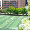 원우환경개발 | 군복 위에 더한 배움의 시간 – Pro-MBA 89기 조성우 원우 인터뷰