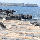 (주)제주돌