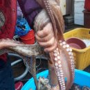 옥계동대산펜션 이미지