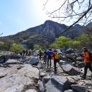 달마고도 이미지