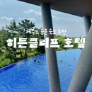 제주 중문 숙소 추천 | 히든클리프 호텔 수영장 헬스장 산책로 가든뷰객실 숙박후기