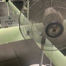 옐로우짐 성당점 이미지