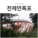 산방산愛하늘내린빌애 | 제주도 남부권 여행코스, 천제연폭포 선임교 너무 예뻐요!