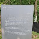 심상우묘 이미지