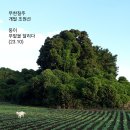 무한질주 이미지